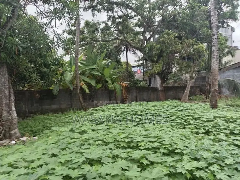 Prime Land for Sale Boralesgamuwa