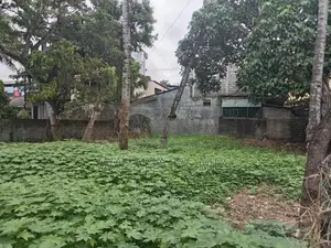 Prime Land for Sale Boralesgamuwa