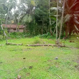 මිනුවන්ගොඩ, පන්සිල්ගොඩ බිම් කොටස් 18 ක්