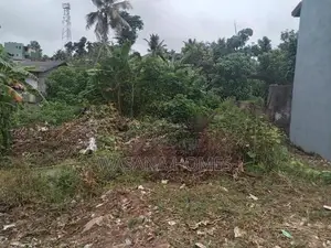 Super Land for Sale Boralesgamuwa