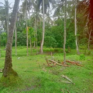 මිනුවන්ගොඩ, පන්සිල්ගොඩ බිම් කොටස් 18 ක්