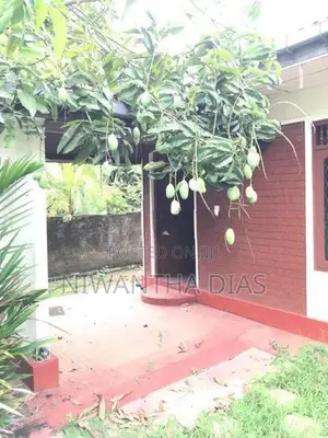 Fully Equipped House with on 10 Perch Land for Sale in Bandaragama