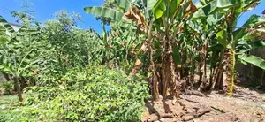 Land for sale Boralesgamuwa Abillawaththa