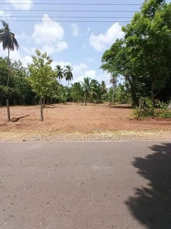 Land for Sale in Anuradhapura