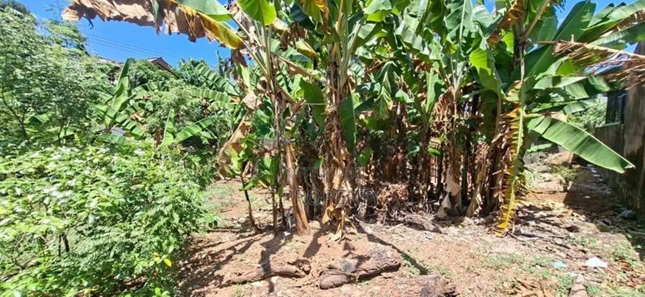 Land for sale Boralesgamuwa Abillawaththa