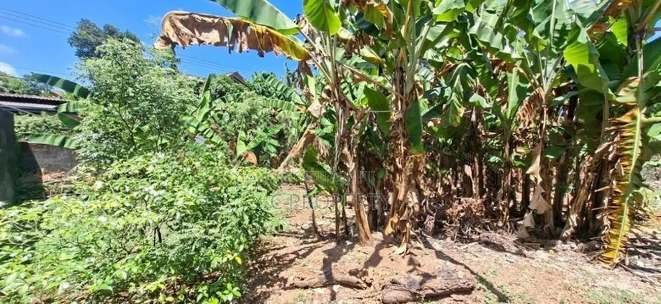Land for sale Boralesgamuwa Abillawaththa