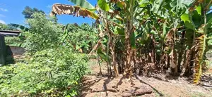 Land for sale Boralesgamuwa Abillawaththa