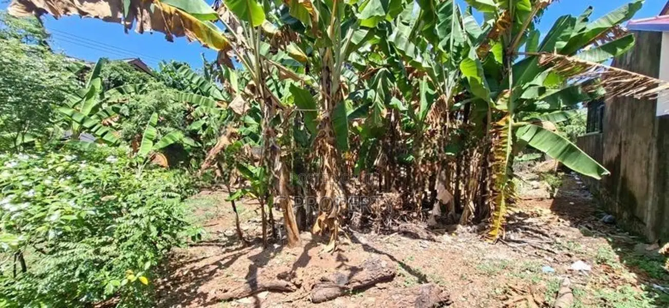Land for sale Boralesgamuwa Abillawaththa