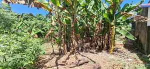 Land for sale Boralesgamuwa Abillawaththa