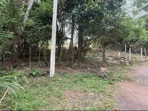 අතුරුගිරිය අධිවේගී පිවිසුම අසල පර්චස් 15ක වටිනා ඉඩමක් විකිණීමට