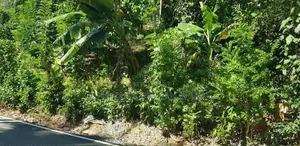 Land for Sale උඩුදුම්බර