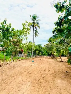 Land for Sale Anuradhapura