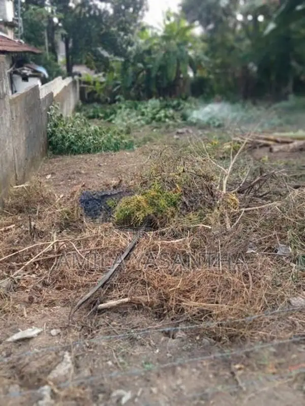 Kesbewa Halpita 14.5 Perches Land for Sale