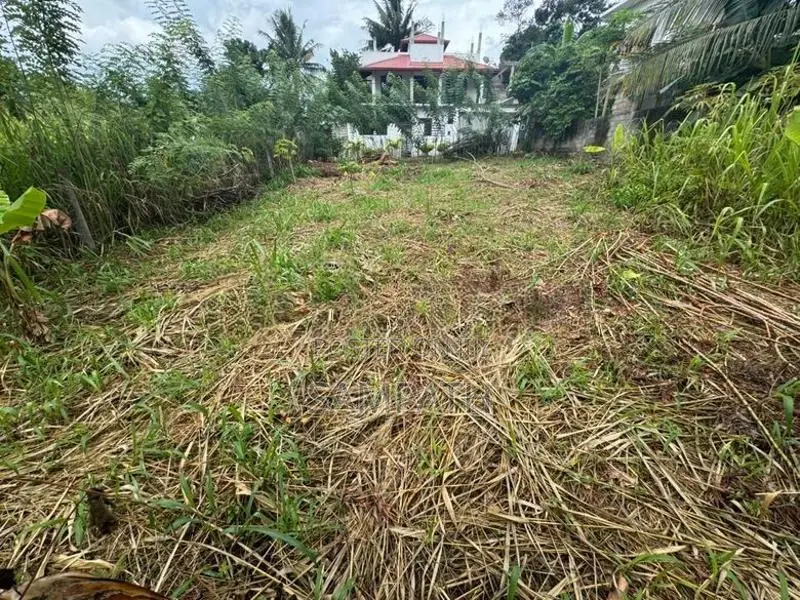 Land for Sale in Matale Aluwihare