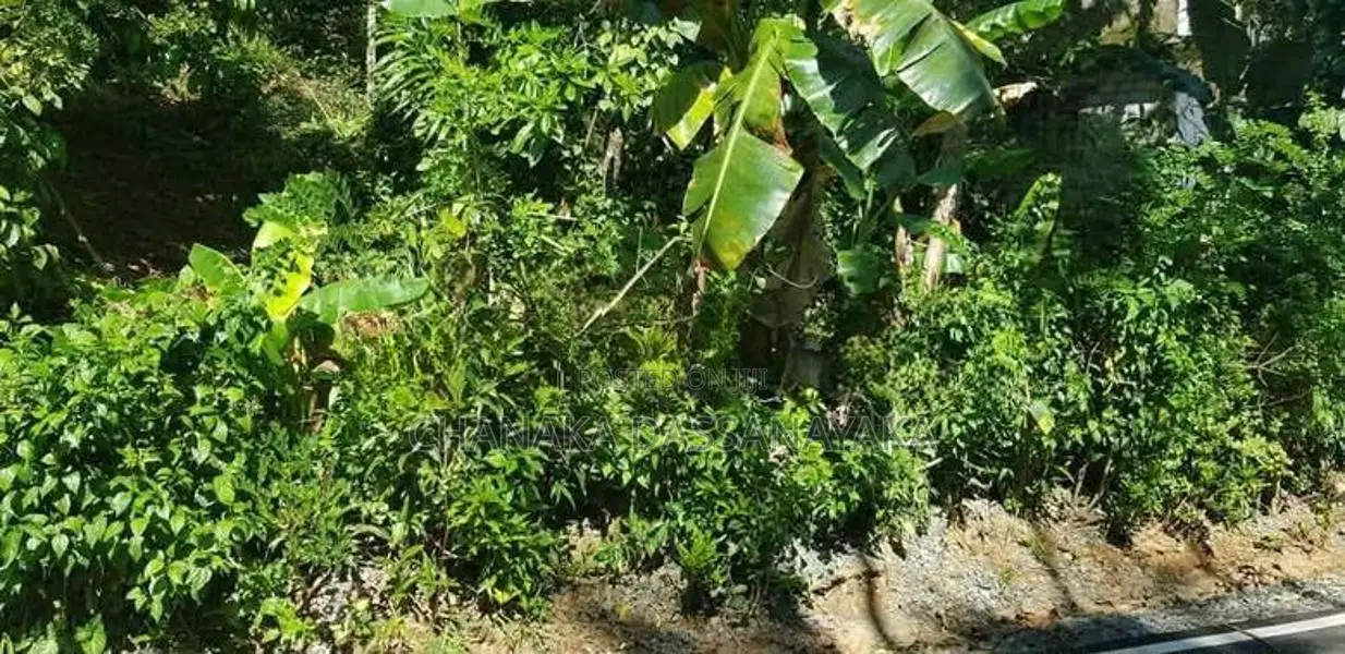 Land for Sale උඩුදුම්බර