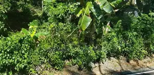 Land for Sale උඩුදුම්බර