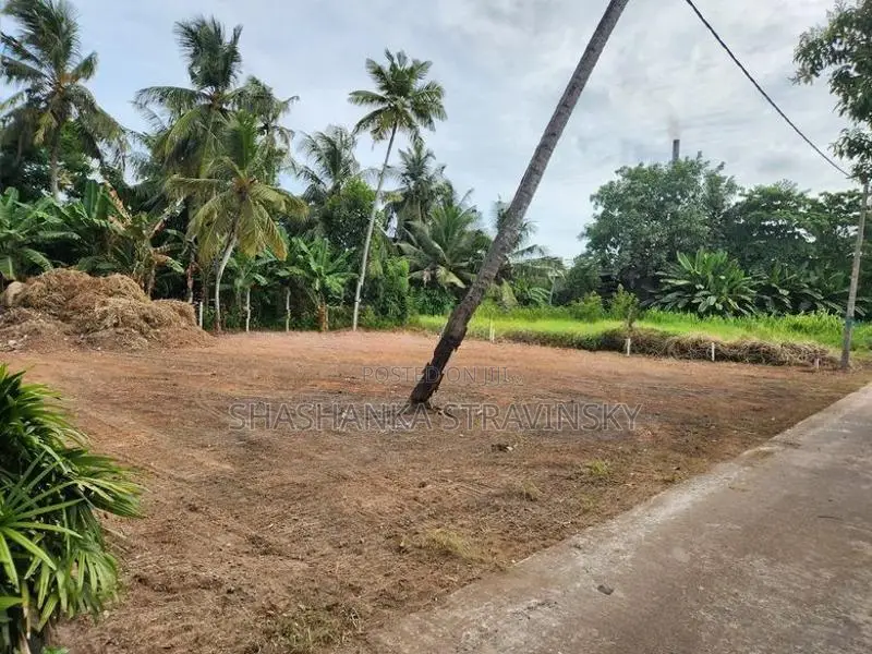 Prime 20 Perch Land for Sale in Seeduwa, Liyanagemulla