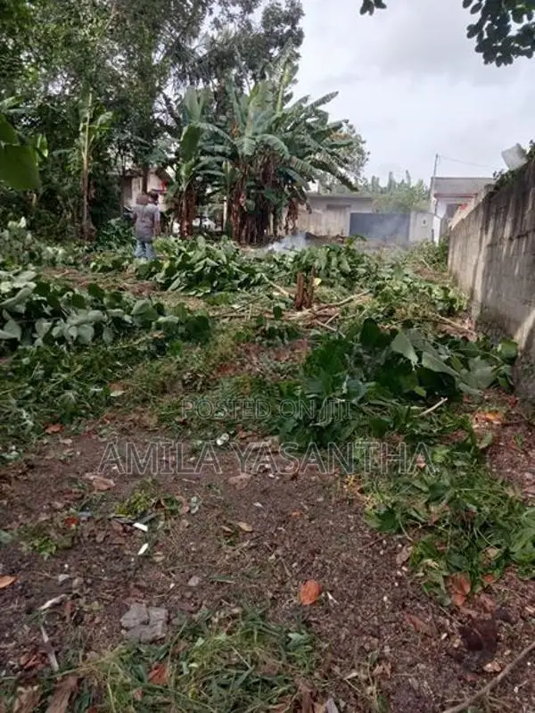 Kesbewa Halpita 14.5 Perches Land for Sale