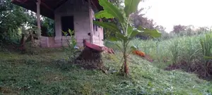 Land for Sale Yudaganawa, Buttala