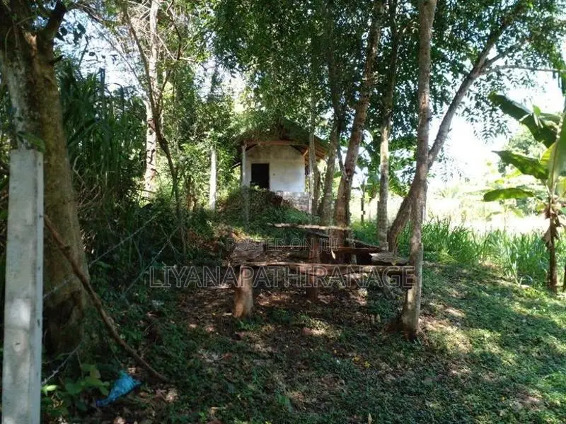 Land for Sale Yudaganawa, Buttala