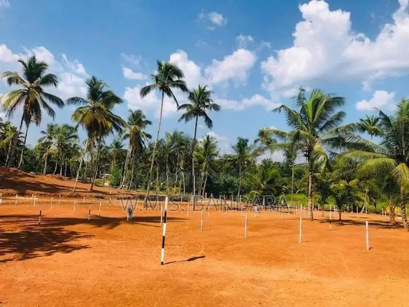 Nittambuwa Attanagalla Land for Sale. ( S )