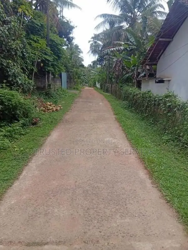 Land for Sale Perch 30 Polgahawela