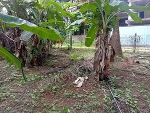 Land for Sale Perch 30 Polgahawela