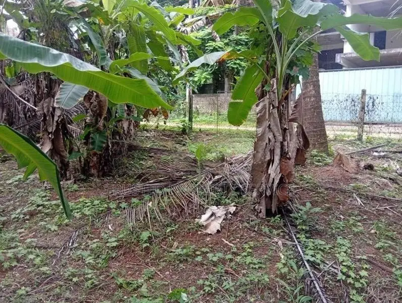Land for Sale Perch 30 Polgahawela