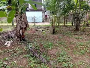 Land for Sale Perch 30 Polgahawela