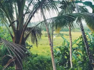 House with Land for Sale in Habaraduwa