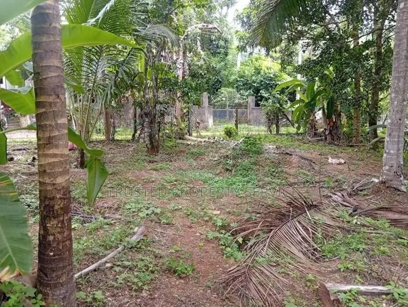 Land for Sale Perch 30 Polgahawela