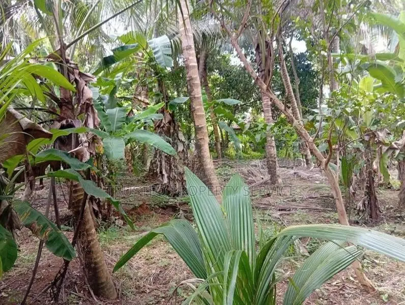 Land for Sale Perch 30 Polgahawela
