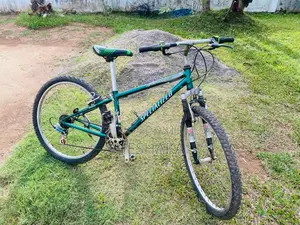 MountainBike for Other