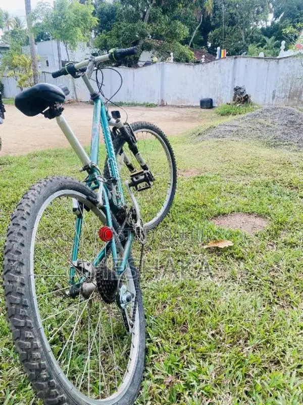 MountainBike for Other