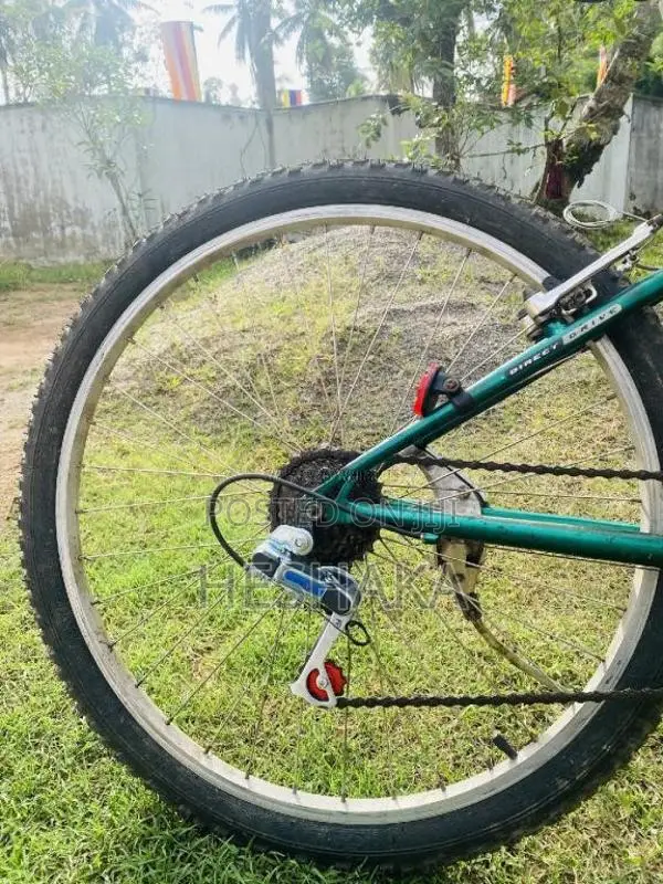 MountainBike for Other