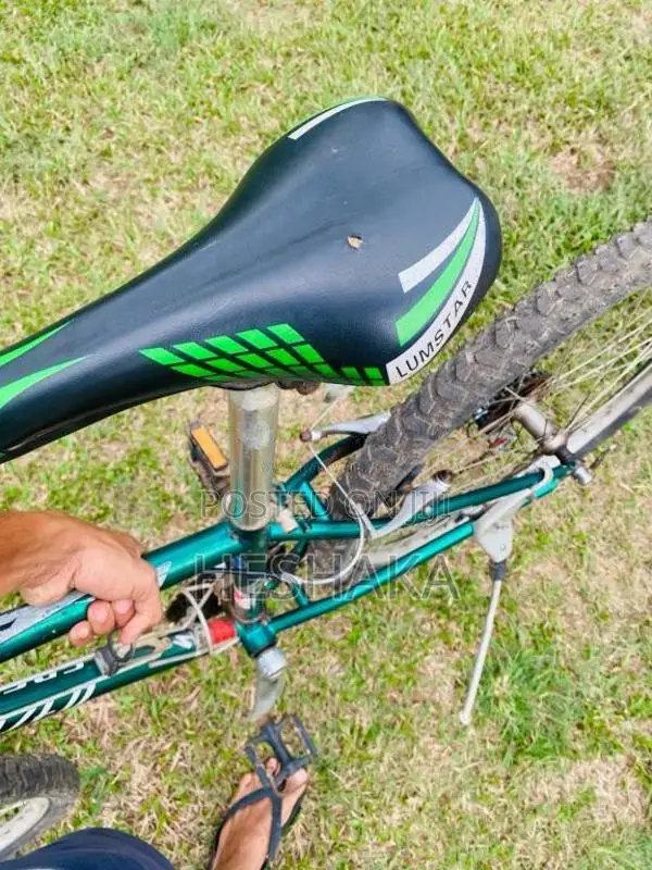 MountainBike for Other
