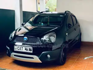 Micro Panda Cross 2017 Car (Used)