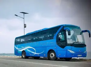 Micro GOLDEN DRAGON 45 2012 Bus (Used)