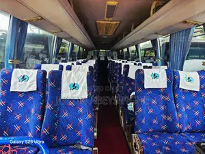 Micro GOLDEN DRAGON 45 2012 Bus (Used)