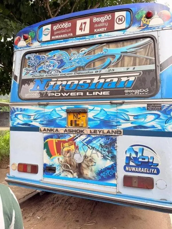 Ashok-Leyland Viking 2017 Bus (Used)
