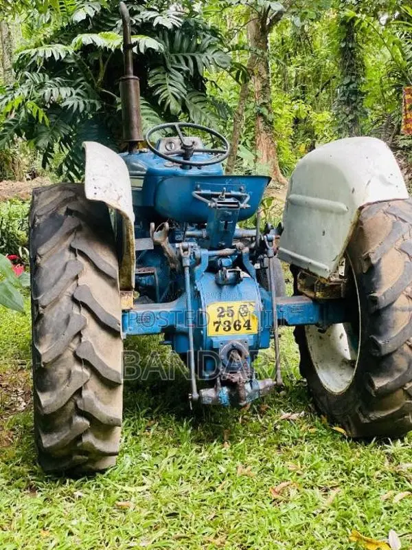 Ford 3000 1980 Tractor (Used)