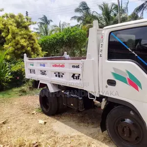 Isuzu Tipper 1996 Lorry (Used)