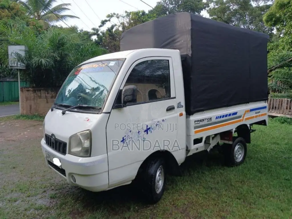 Mahindra Maxximo 2012 Lorry (Used)