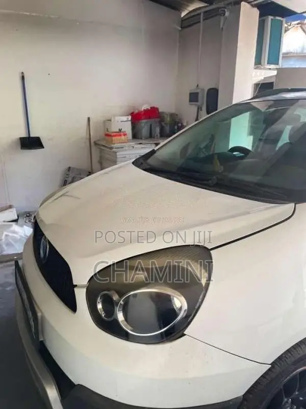 Micro Panda Cross 2016 Car (Used)