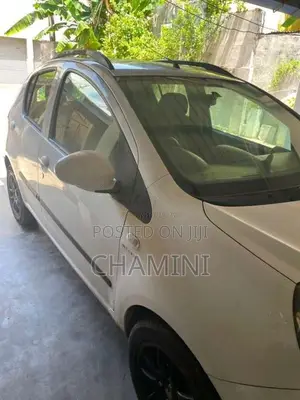Micro Panda Cross 2016 Car (Used)
