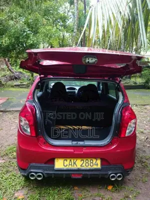 Suzuki Alto 2015 Car (Used)