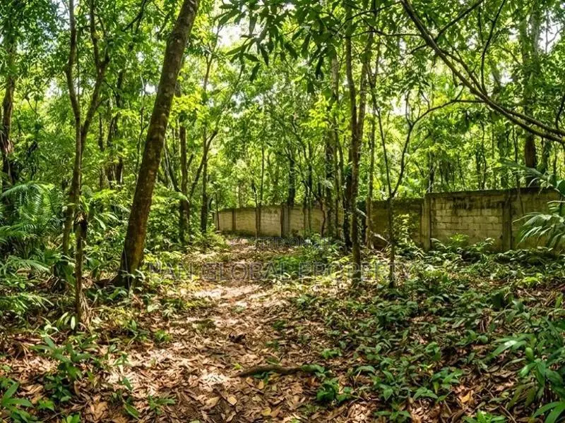 Land for Sale in Matara