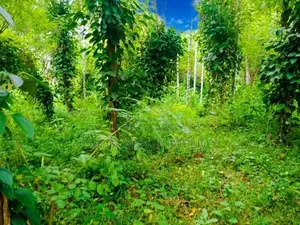 Estate for Sale in Kegalle
