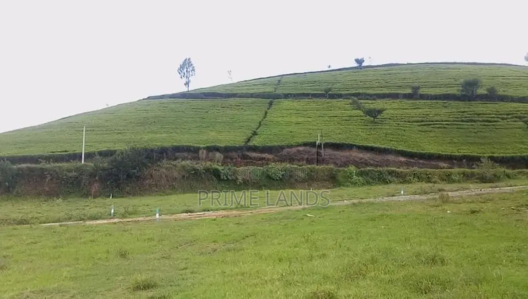 Nuwaraeliya land for sale Deram