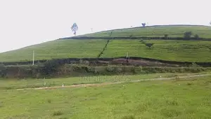Nuwaraeliya land for sale Deram